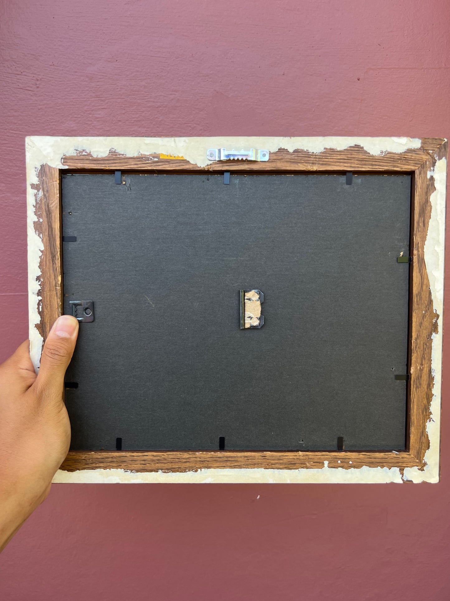 Wood/Fawn Photo Strip Frame