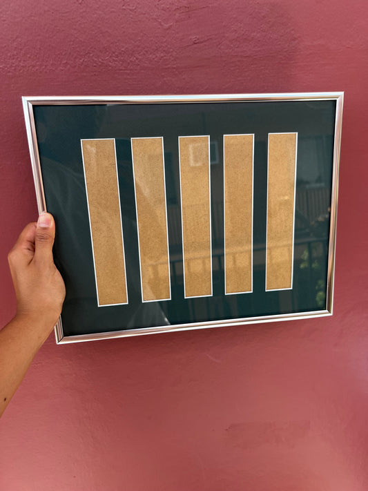 Chrome/Forest Green Photo Strip Frame