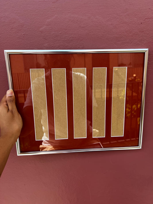 Chrome/Brick Red Photo Strip Frame