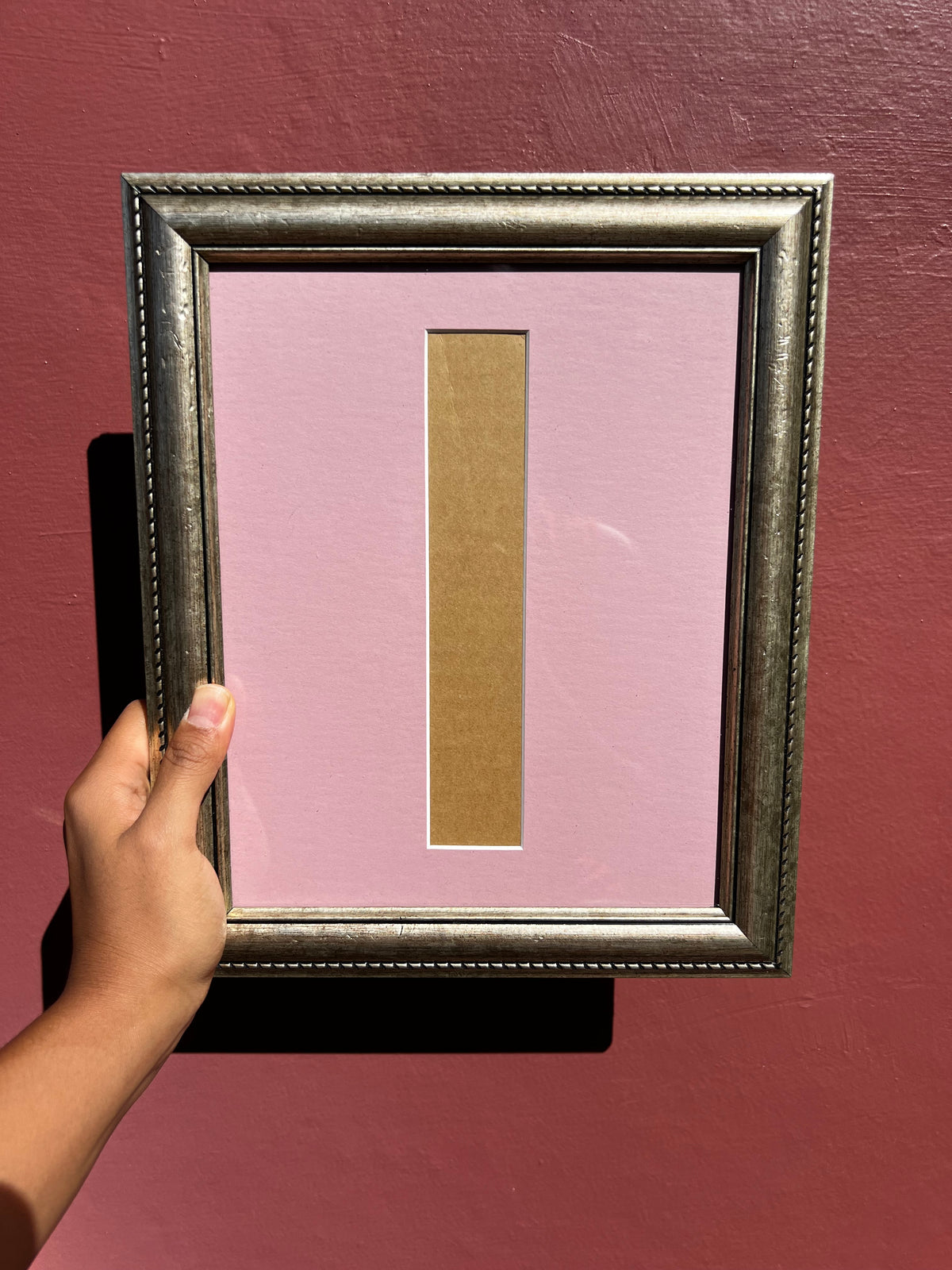 Brushed Silver/Pink Photo Strip Frame