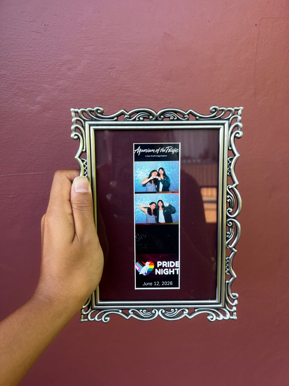 Metal/Maroon Photo Strip Frame