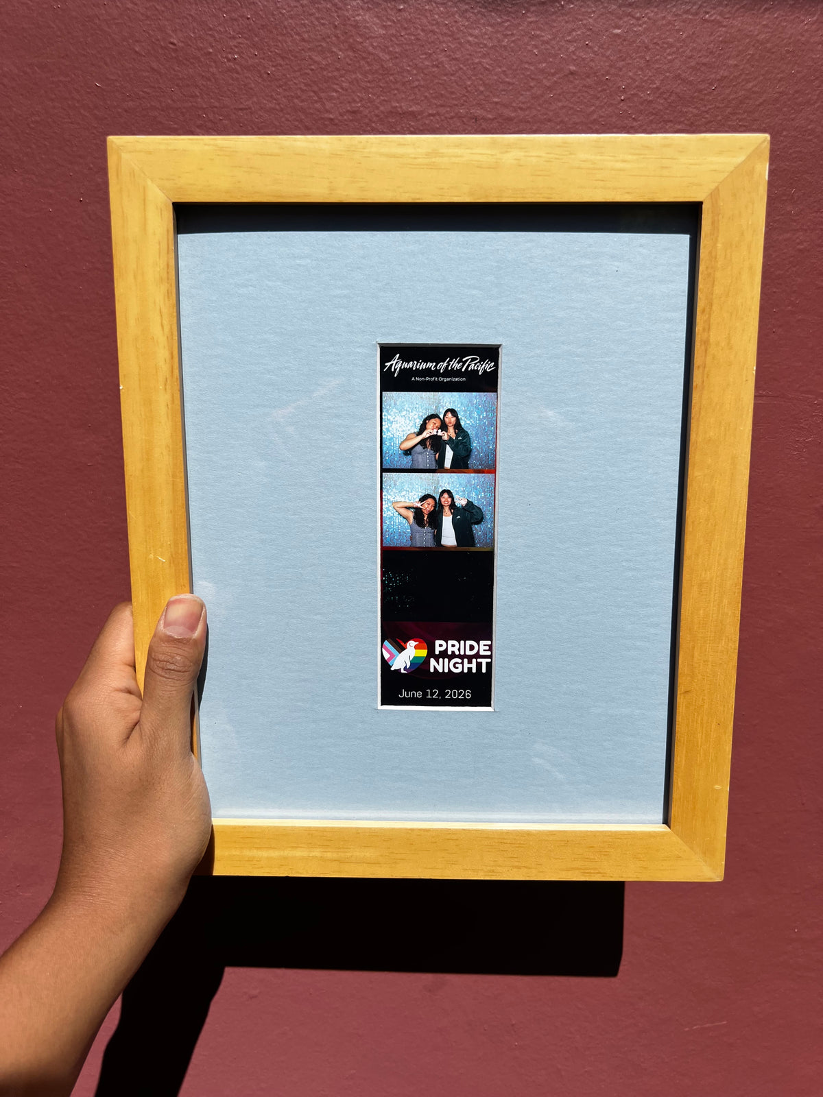 Light Wood/Light Blue Photo Strip Frame