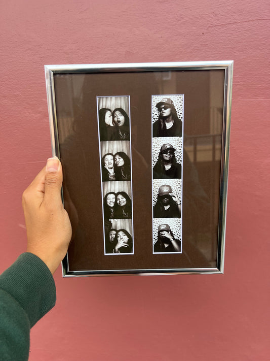 Chrome/Brown Photo Strip Frame
