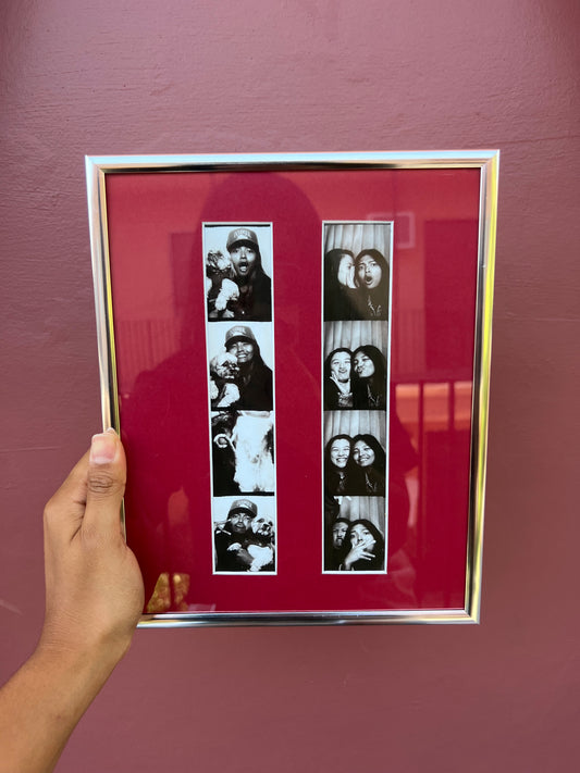 Chrome/Red Photo Strip Frame