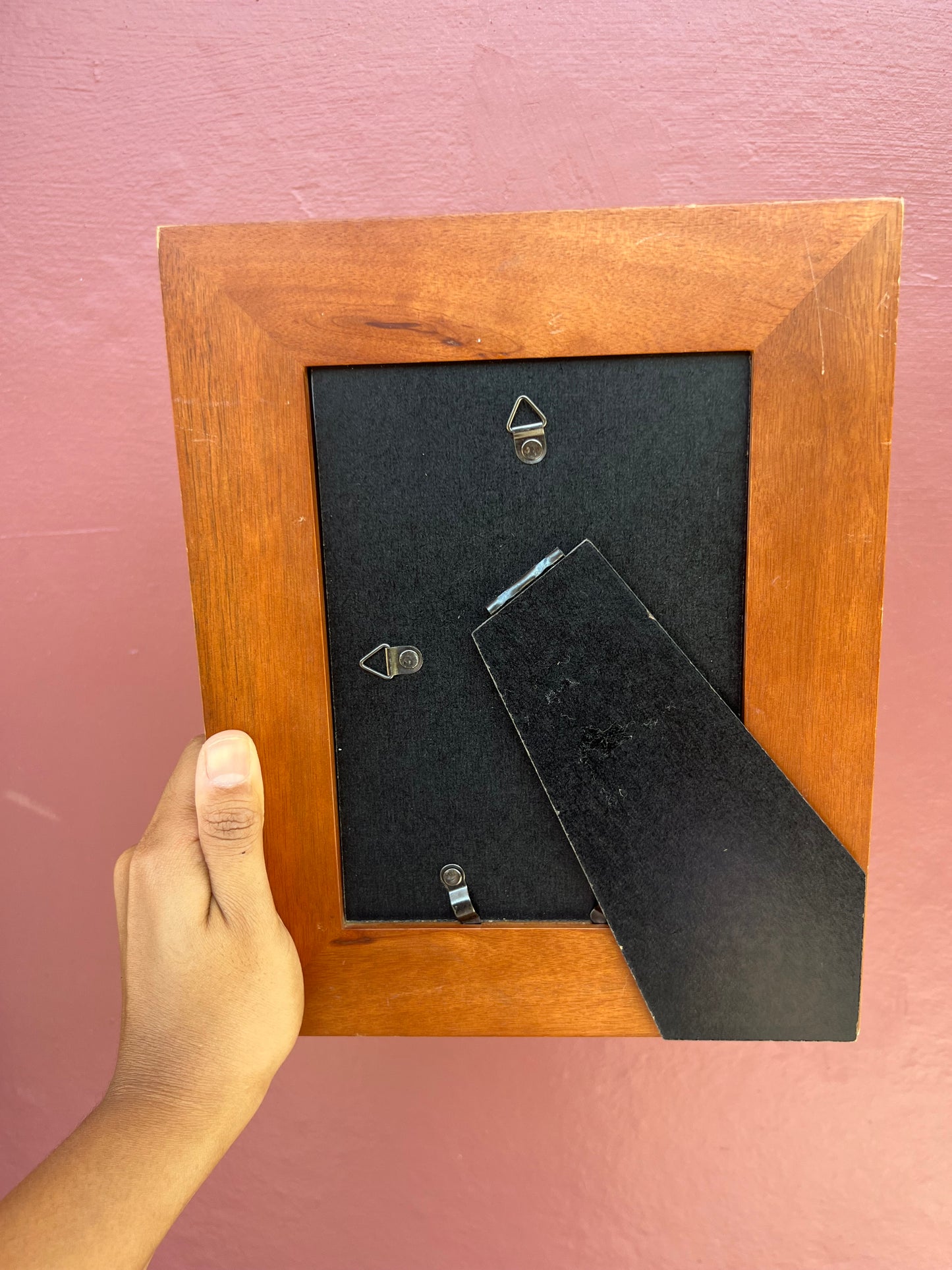 Wood & Black/Brick Red Classic Polaroid Frame