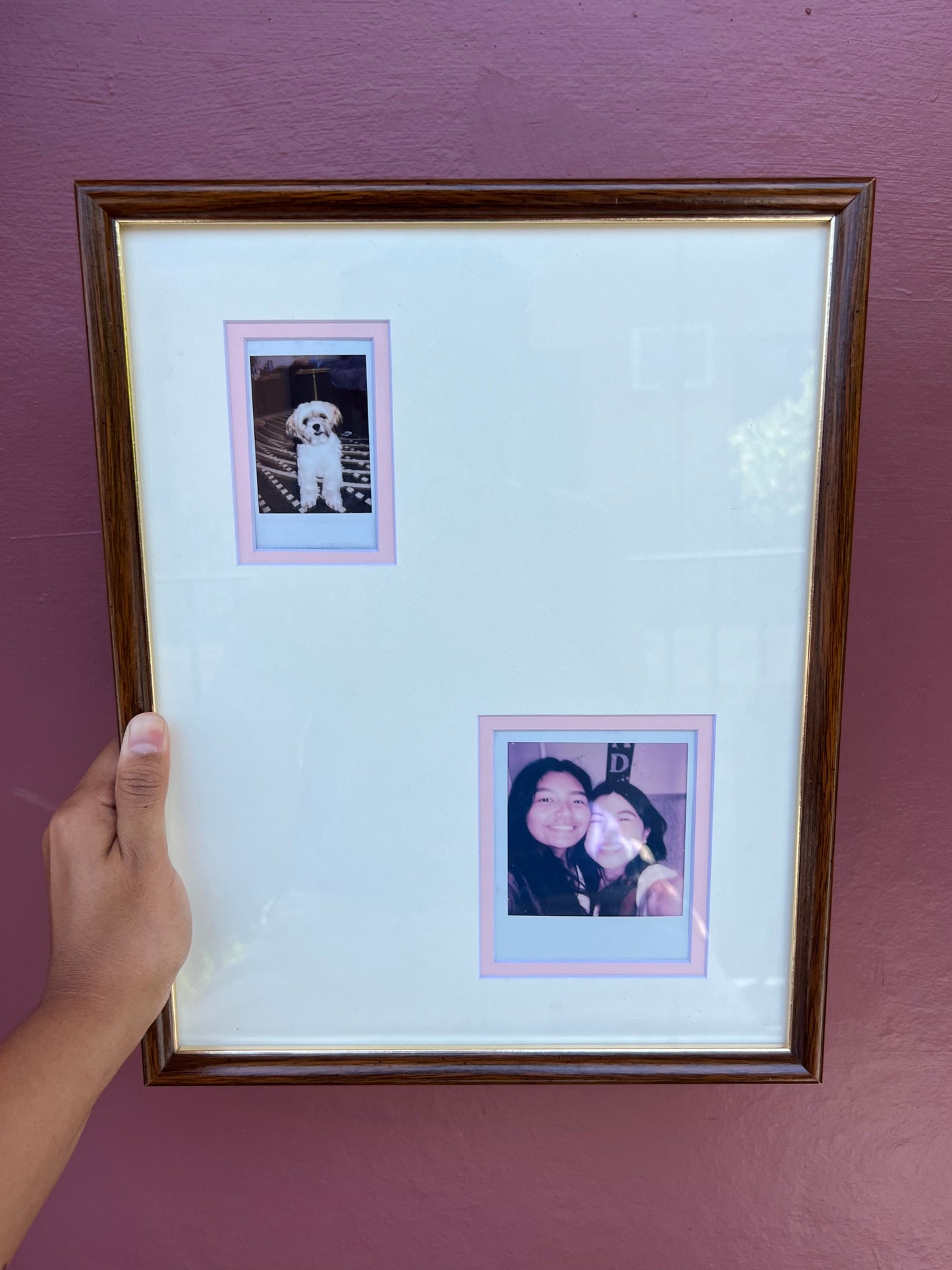 Dark Wood & Gold/White & Pink Classic & Mini Polaroid Frame
