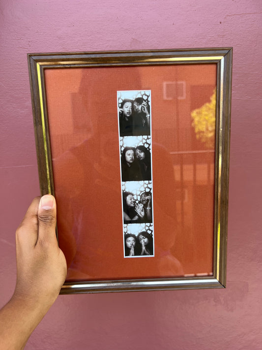 Walnut Metal/Brick Red Photo Strip Frame