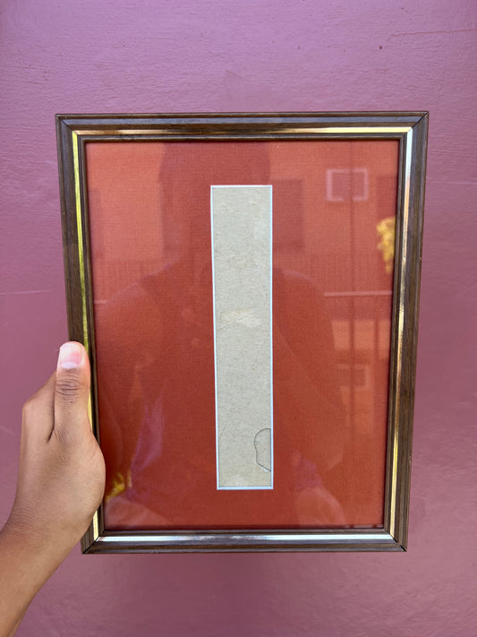 Walnut Metal/Brick Red Photo Strip Frame